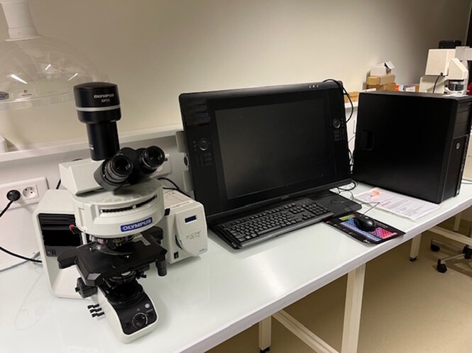 <strong>Histology microscope. ©INSERM-UNISTRA UMR 1260</strong> <br> <em>Histology microscope. An imaging instrument that visualizes tissue structures from samples previously treated with histochemical staining.</em> Histology microscope. An imaging instrument that visualizes tissue structures from samples previously treated with histochemical staining.