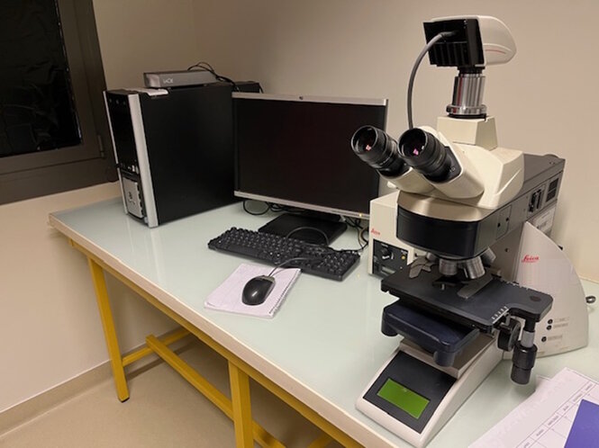 <strong>Immunofluorescence microscope. ©INSERM-UNISTRA UMR 1260</strong> <br> <em>Immunofluorescence microscope. An imaging device for detecting and localizing molecules at the intracellular level using antigen-antibody affinity.</em> Immunofluorescence microscope. An imaging device for detecting and localizing molecules at the intracellular level using antigen-antibody affinity.